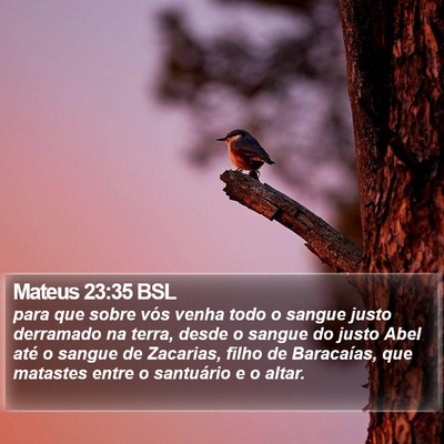 Mateus 23:35 BSL Bible Verse Image