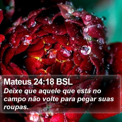 Mateus 24:18 BSL Bible Verse Image