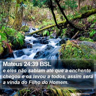 Mateus 24:39 BSL Bible Verse Image