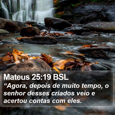 Mateus 25:19 BSL Bible Verse Image