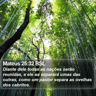 Mateus 25:32 BSL Bible Verse Image