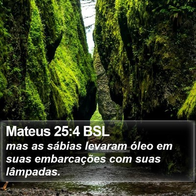 Mateus 25:4 BSL Bible Verse Image