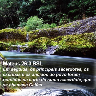 Mateus 26:3 BSL Bible Verse Image