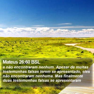 Mateus 26:60 BSL Bible Verse Image