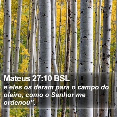 Mateus 27:10 BSL Bible Verse Image