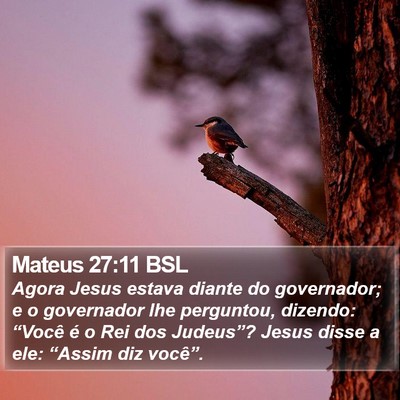 Mateus 27:11 BSL Bible Verse Image