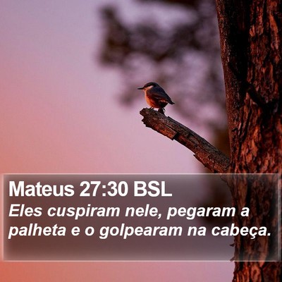 Mateus 27:30 BSL Bible Verse Image