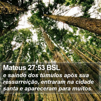 Mateus 27:53 BSL Bible Verse Image
