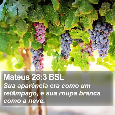 Mateus 28:3 BSL Bible Verse Image