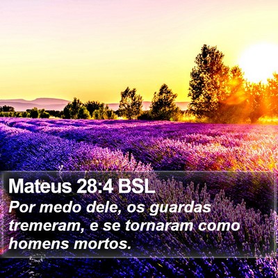 Mateus 28:4 BSL Bible Verse Image