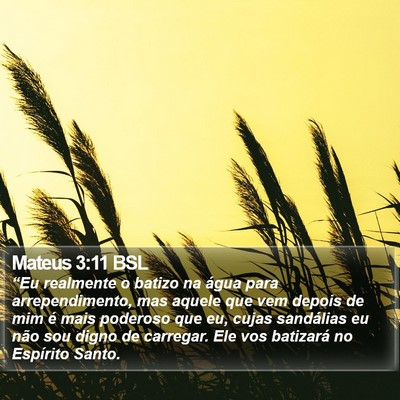 Mateus 3:11 BSL Bible Verse Image
