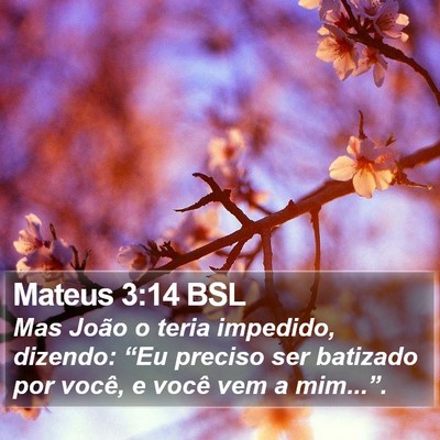 Mateus 3:14 BSL Bible Verse Image