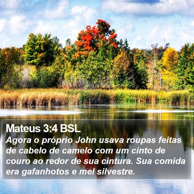 Mateus 3:4 BSL Bible Verse Image