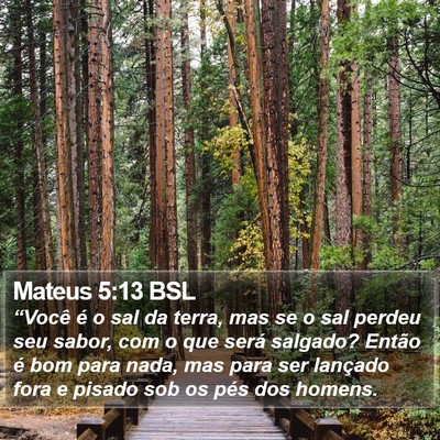 Mateus 5:13 BSL Bible Verse Image
