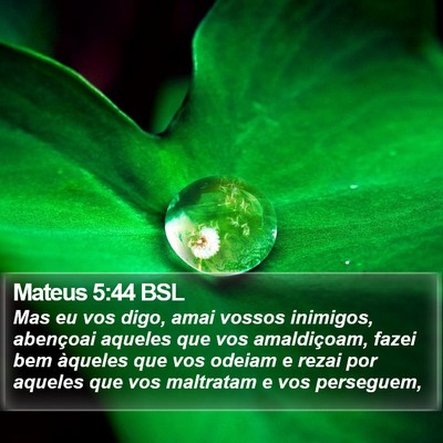 Mateus 5:44 BSL Bible Verse Image