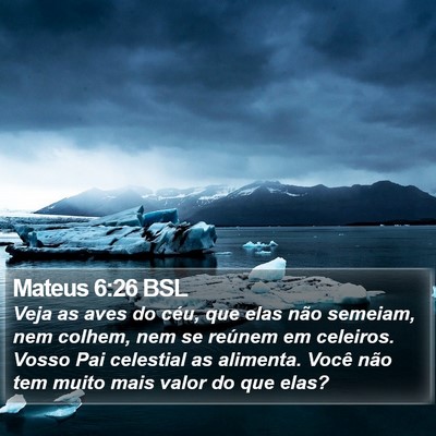 Mateus 6:26 BSL Bible Verse Image