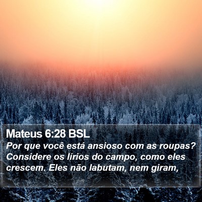 Mateus 6:28 BSL Bible Verse Image