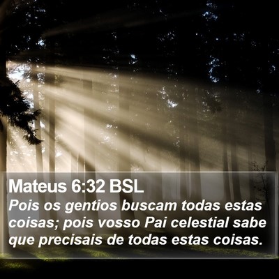 Mateus 6:32 BSL Bible Verse Image