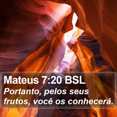 Mateus 7:20 BSL Bible Verse Image