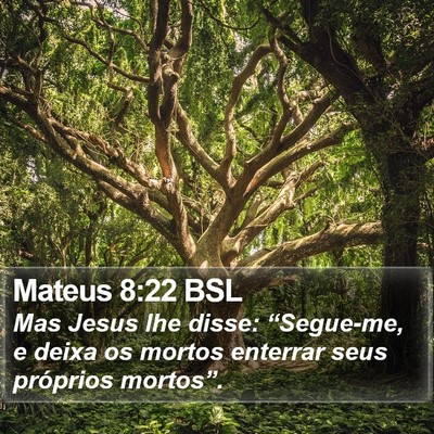Mateus 8:22 BSL Bible Verse Image