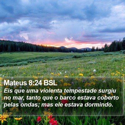 Mateus 8:24 BSL Bible Verse Image