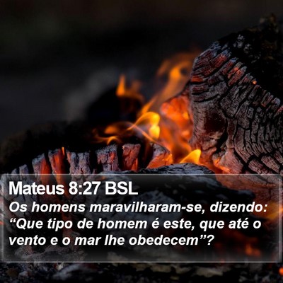 Mateus 8:27 BSL Bible Verse Image