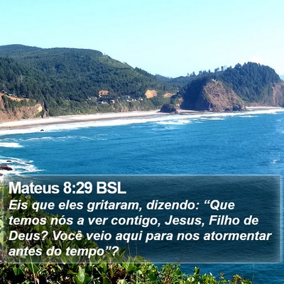 Mateus 8:29 BSL Bible Verse Image