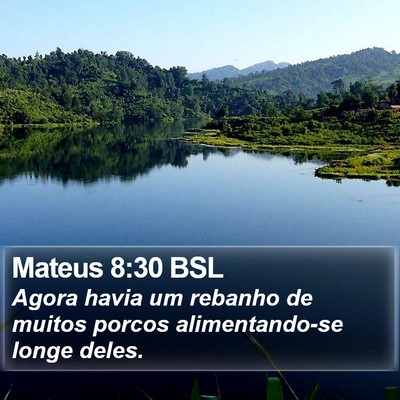 Mateus 8:30 BSL Bible Verse Image