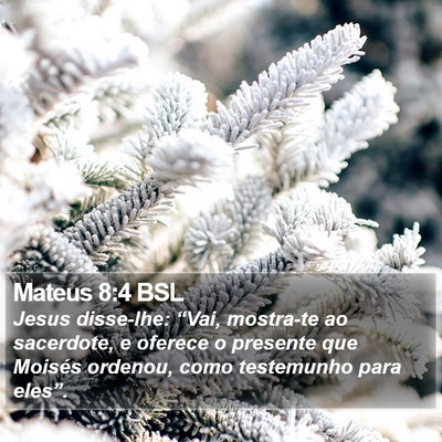 Mateus 8:4 BSL Bible Verse Image