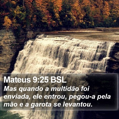 Mateus 9:25 BSL Bible Verse Image
