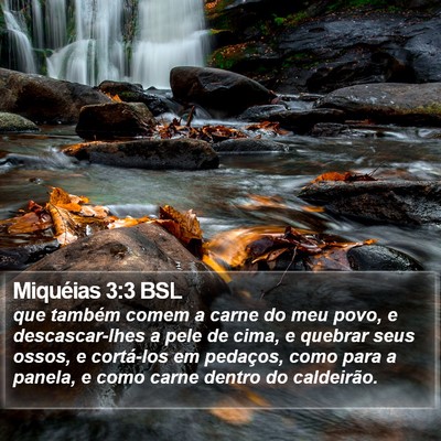 Miquéias 3:3 BSL Bible Verse Image