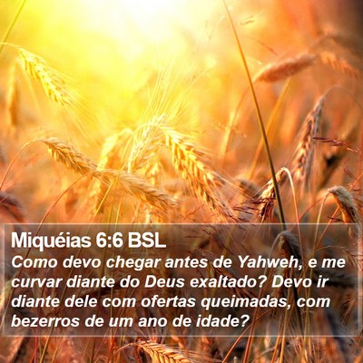 Miquéias 6:6 BSL Bible Verse Image