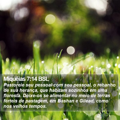 Miquéias 7:14 BSL Bible Verse Image
