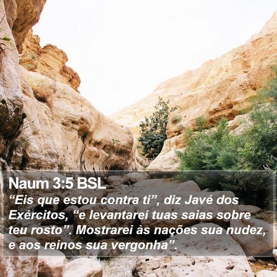Naum 3:5 BSL Bible Verse Image