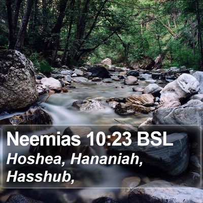 Neemias 10:23 BSL Bible Verse Image