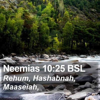 Neemias 10:25 BSL Bible Verse Image