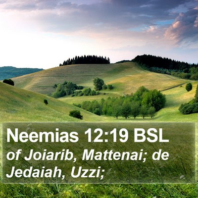 Neemias 12:19 BSL Bible Verse Image
