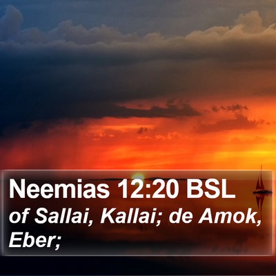 Neemias 12:20 BSL Bible Verse Image