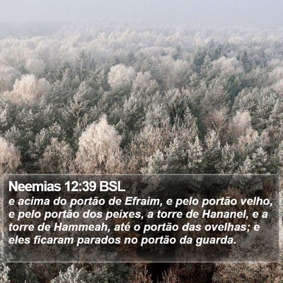 Neemias 12:39 BSL Bible Verse Image