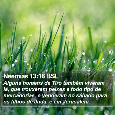 Neemias 13:16 BSL Bible Verse Image