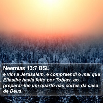 Neemias 13:7 BSL Bible Verse Image