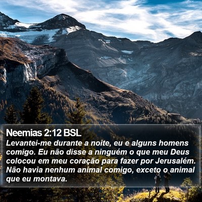 Neemias 2:12 BSL Bible Verse Image
