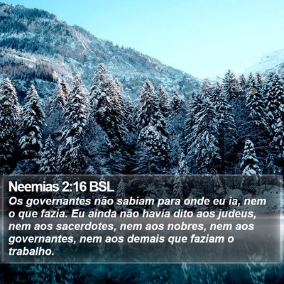 Neemias 2:16 BSL Bible Verse Image