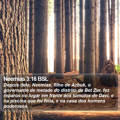 Neemias 3:16 BSL Bible Verse Image