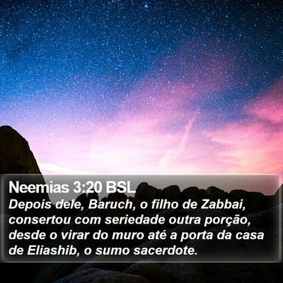 Neemias 3:20 BSL Bible Verse Image