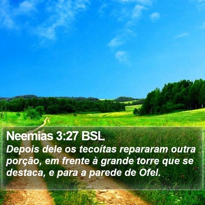 Neemias 3:27 BSL Bible Verse Image
