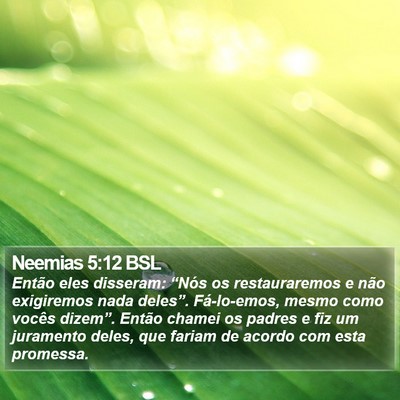 Neemias 5:12 BSL Bible Verse Image