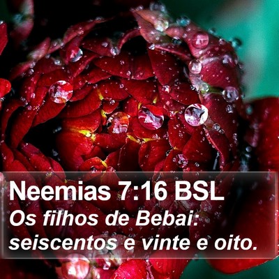 Neemias 7:16 BSL Bible Verse Image