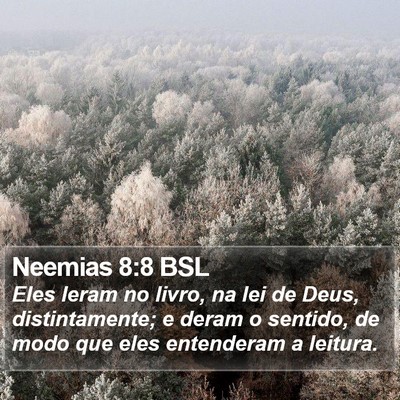 Neemias 8:8 BSL Bible Verse Image