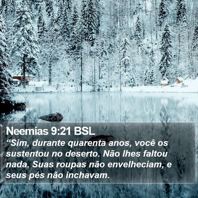 Neemias 9:21 BSL Bible Verse Image